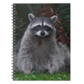 Carnet Cute Forest Raccoon Photo Faune (Devant)