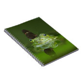 Carnet Cute frog (Côté Droit)