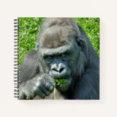 CARNET CUTE GORILLA (Devant)