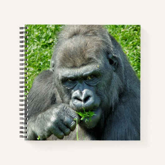 CARNET CUTE GORILLA (Devant)
