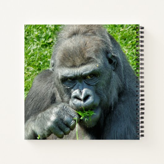 CARNET CUTE GORILLA (Dos)