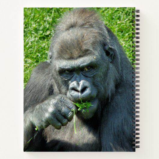 CARNET CUTE GORILLA (Dos)