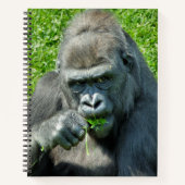CARNET CUTE GORILLA (Devant)