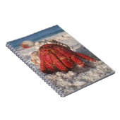 Carnet Cute Hermit Crabe sur White Sandy Beach Closeuse (Côté Droit)