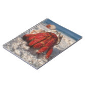 Carnet Cute Hermit Crabe sur White Sandy Beach Closeuse (Côté gauche)