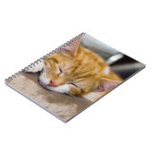 Carnet Cute Kitten (Côté gauche)