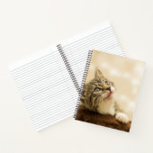 Carnet Cute Kitten avec une paille étirée (Intérieur)
