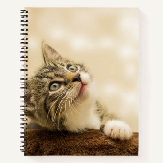 Carnet Cute Kitten avec une paille étirée (Devant)