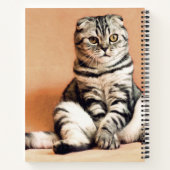 Carnet Cute Kitten S'Est Étendu (Dos)