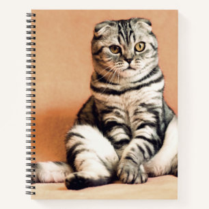 Carnet Cute Kitten S'Est Étendu