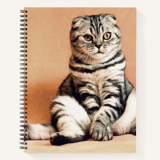 Carnet Cute Kitten S'Est Étendu (Devant)