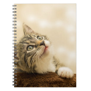 Carnet Cute Kitten with an Outstretched Paw