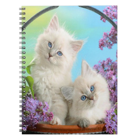Carnet Cute Kittens (Devant)