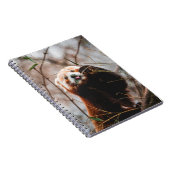 CARNET CUTE KOALA BEAR (Côté Droit)