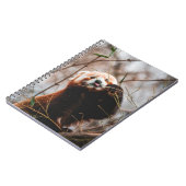 CARNET CUTE KOALA BEAR (Côté gauche)