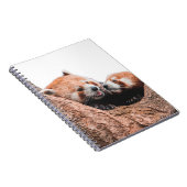 CARNET CUTE KOALA BEAR FAMILLE (Côté Droit)