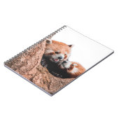 CARNET CUTE KOALA BEAR FAMILLE (Côté gauche)