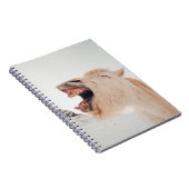 CARNET CUTE LAMA ALPACA RIRE (Côté Droit)