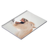 CARNET CUTE LAMA ALPACA RIRE (Côté gauche)