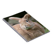 Carnet Cute lapin de gingembre avec de grandes oreilles (Côté Droit)