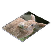 Carnet Cute lapin de gingembre avec de grandes oreilles (Côté gauche)