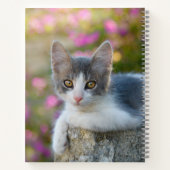 Carnet Cute Little Bicolor Kitten Fluffy Cat Photo - Nom (Dos)