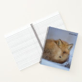 Carnet Cute Little Fox Curling Up Winter Photo (Intérieur)