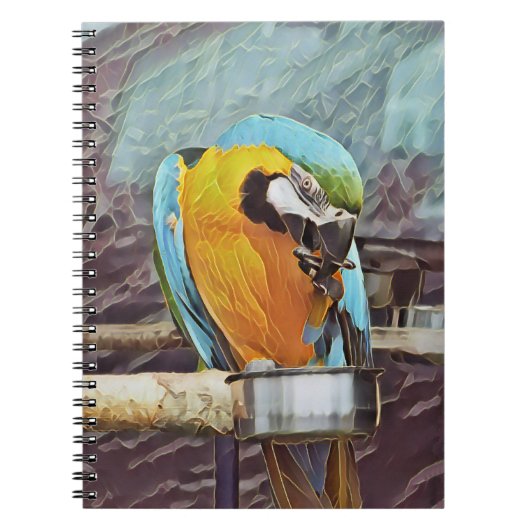CARNET CUTE MACAW (Devant)
