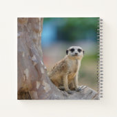 Carnet Cute Meerkat Sat sur arbre (Dos)