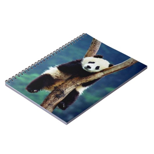 Carnet Cute ours Panda (Côté gauche)