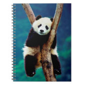 Carnet Cute ours Panda (Devant)