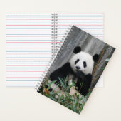 Carnet Cute panda (À l'intérieur)