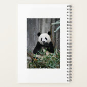 Carnet Cute panda (Verso)