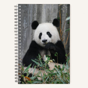 Carnet Cute panda