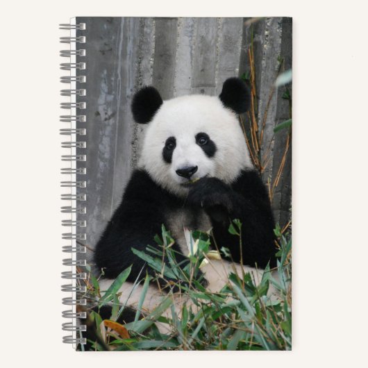 Carnet Cute panda (Recto)