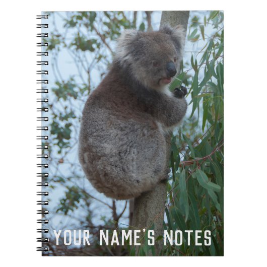 Carnet Cute personnalisée Koala Animal Wildife (Devant)