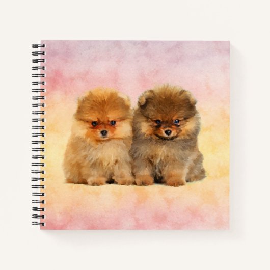 Carnet Cute Pomeranian Allemand Spitz Puppies (Devant)
