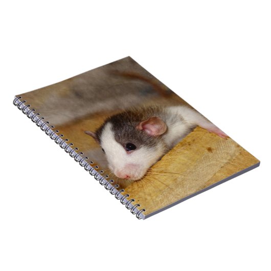 Carnet Cute rat (Côté Droit)