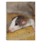 Carnet Cute rat (Devant)