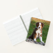 Carnet Cute Red Tri Australian Shepherd Chien Chien Puppy (Intérieur)