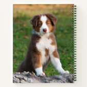 Carnet Cute Red Tri Australian Shepherd Chien Chien Puppy (Dos)