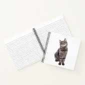 Carnet Cute tabby Chat (Intérieur)