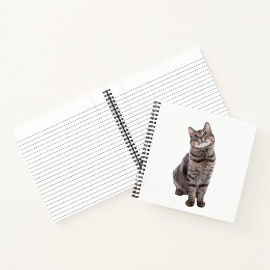 Carnet Cute tabby Chat (Intérieur)