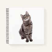 Carnet Cute tabby Chat (Devant)