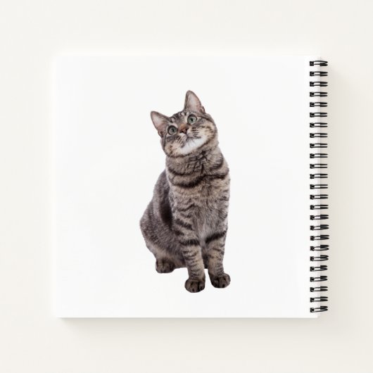 Carnet Cute tabby Chat (Dos)