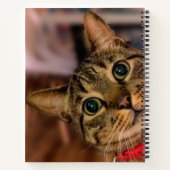 Carnet Cute Tabby Chat Personnalisé (Dos)