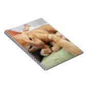 Carnet Cute Tiger Stripe Kitten (Côté Droit)
