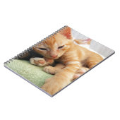 Carnet Cute Tiger Stripe Kitten (Côté gauche)