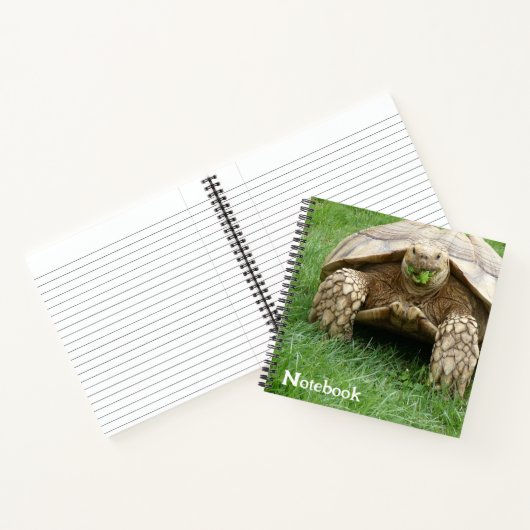 Carnet Cute Tortoise Lettuce Munch (Intérieur)