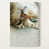 Carnet Cute Upside Down Tabby Cat Personnalisé (Verso)
